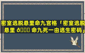 密室逃脱悬里命九宫格「密室逃脱悬里 🐒 命九死一由逃生密码」